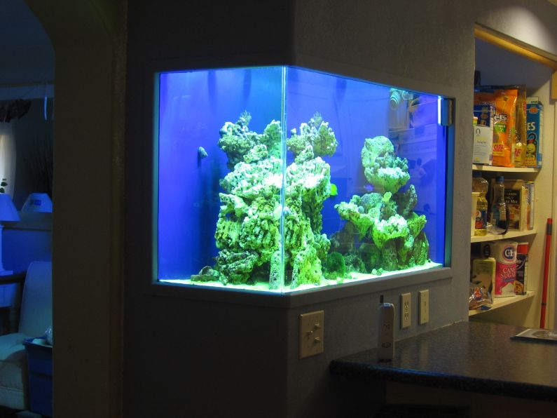 1 month old reef tank corner view - 2 x 175 10000K MH only