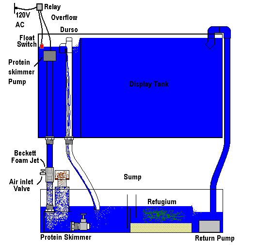 Simple and practical system setup diagram for your reef tank